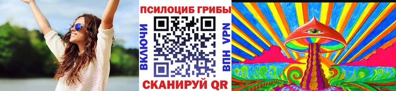 Купить  Шуя  Галлюциногенные грибы прущие грибы 